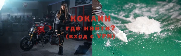прущие грибы Балабаново