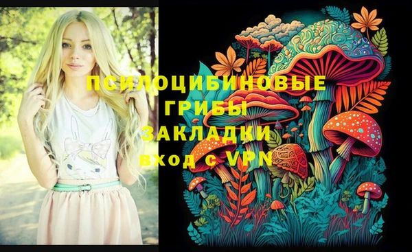 гашик Баксан