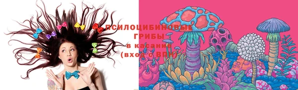прущие грибы Балабаново